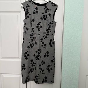 Ann Taylor Grey Black Floral Dress